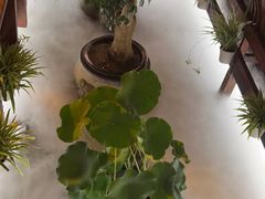 -三只耳火锅(宽窄巷子店)