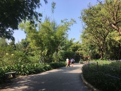 -晓港公园