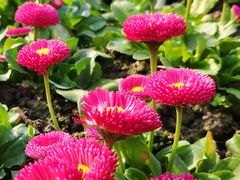 -杭州城北体育公园