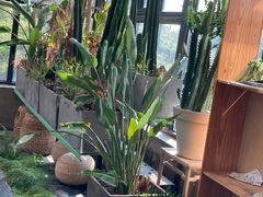 -北马山庄植趣咖啡