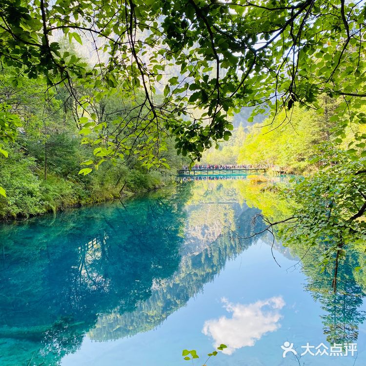 [糖果]撩人秋色，中秋打卡九寨沟[调皮]