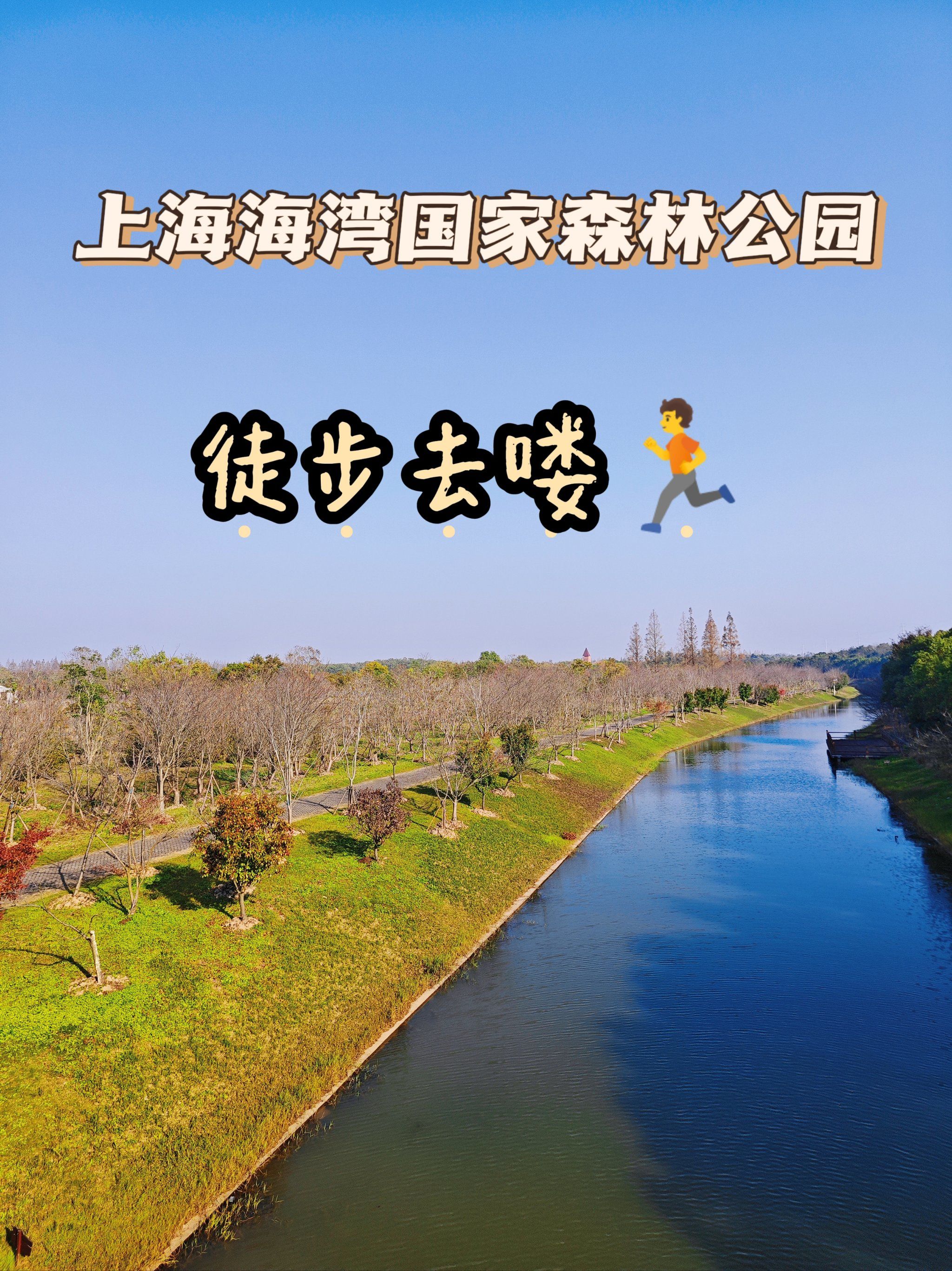 新发现丨徒步好地方「海湾国家森林公园」