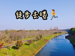 -上海海湾国家森林公园