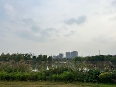 -九科绿洲