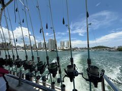 -小猫钓鱼海钓俱乐部(椰梦长廊店)