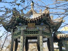 -善化寺