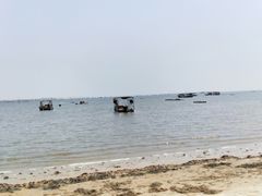 -北海金海湾红树林生态旅游区