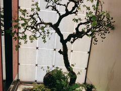 -湘上湘(正大中心总店)