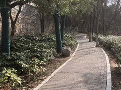 -云龙山