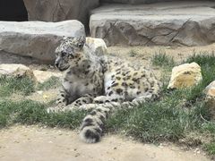 -青藏高原野生动物园