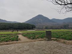 -八卦田遗址公园