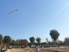 -武汉紫薇都市田园