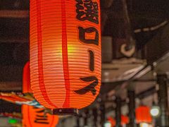 -大阪烧肉BAKA一代(十亩地店)