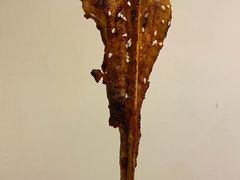 -蚝抵食·湛江生蚝(湾北路店)