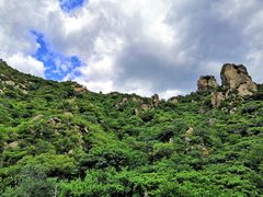 -大岭沟猕猴桃谷风景区