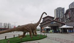 点击看大图 -恐龙探索乐园(磁器口店)