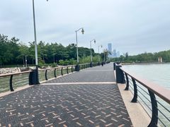 -深圳湾公园(南山区)