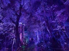 -金沙湖旅游度假区
