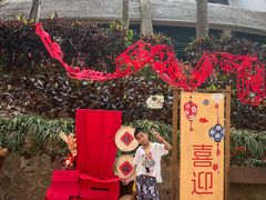 -西双版纳原始森林公园