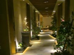 -浅深(北京北四环精品店)