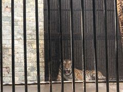 -广东茂名森林公园