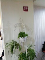 -丽时 Hair Salon