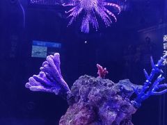 -厦门海底世界