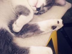 iphone_upload_pic-MIKAKU(万达广场上海宝山店)