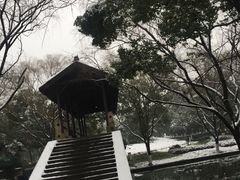 -阮氏酒家(柯桥店)