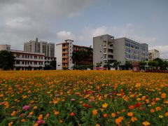 -广西钦州农业学校