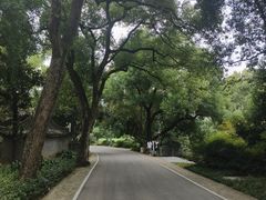 -东湖落雁景区