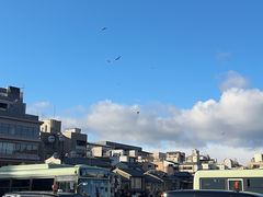 -四条大桥