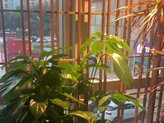 -柴门头啖汤·经典川菜·慢火汤品(锦城万达店)