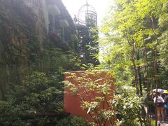 -三鹰之森吉卜力美术馆