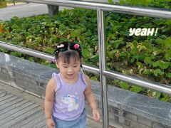 -黄村公园