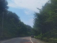 -铁山坪森林公园