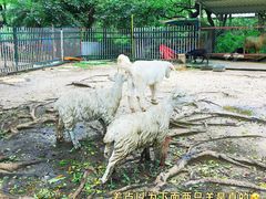 -广东花都香草世界旅游度假区