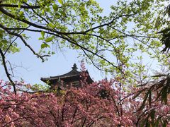 -西安青龙寺遗址景区