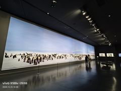 -罗红摄影艺术馆