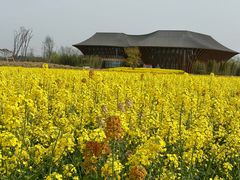 -中国天府农业博览园