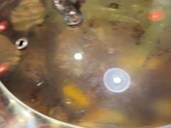 -粗粮人家·东北菜(洋桥店)