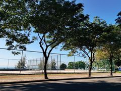 -中国沙滩排球队三亚训练基地