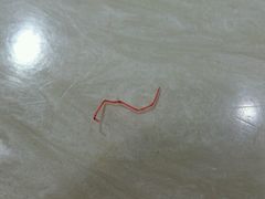-青石桥老瓦房肥肠粉总店(青石桥总店)
