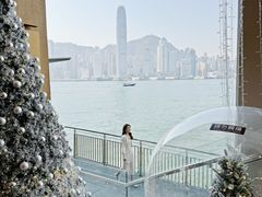 -海港城