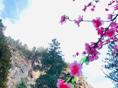 -卡定沟景区