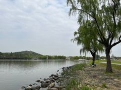 -上海月湖雕塑公园