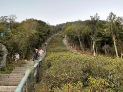 -梧桐山风景名胜区