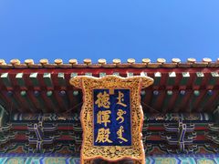 -颐和园