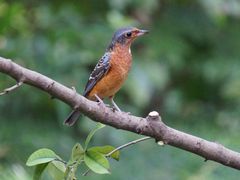 -苏州河梦清园环保主题公园