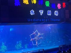 -泉城欧乐堡海洋极地世界